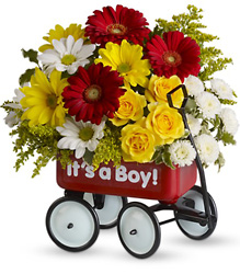 Baby's Wow Wagon by Teleflora from Clermont Florist & Wine Shop, flower shop in Clermont